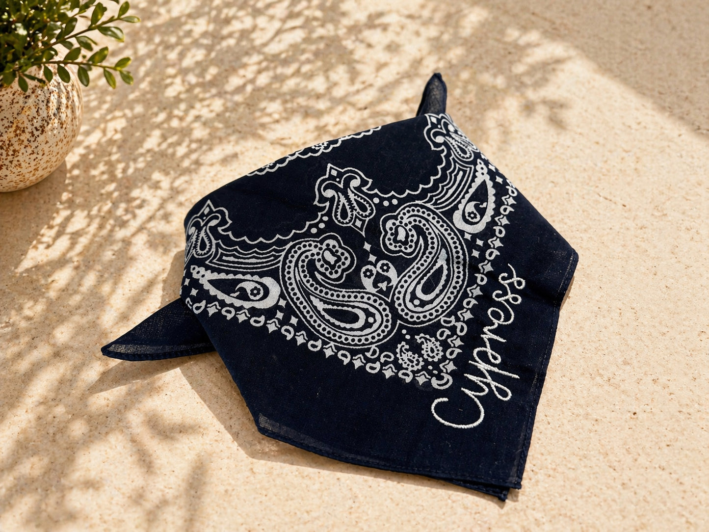 Game Day Bandana