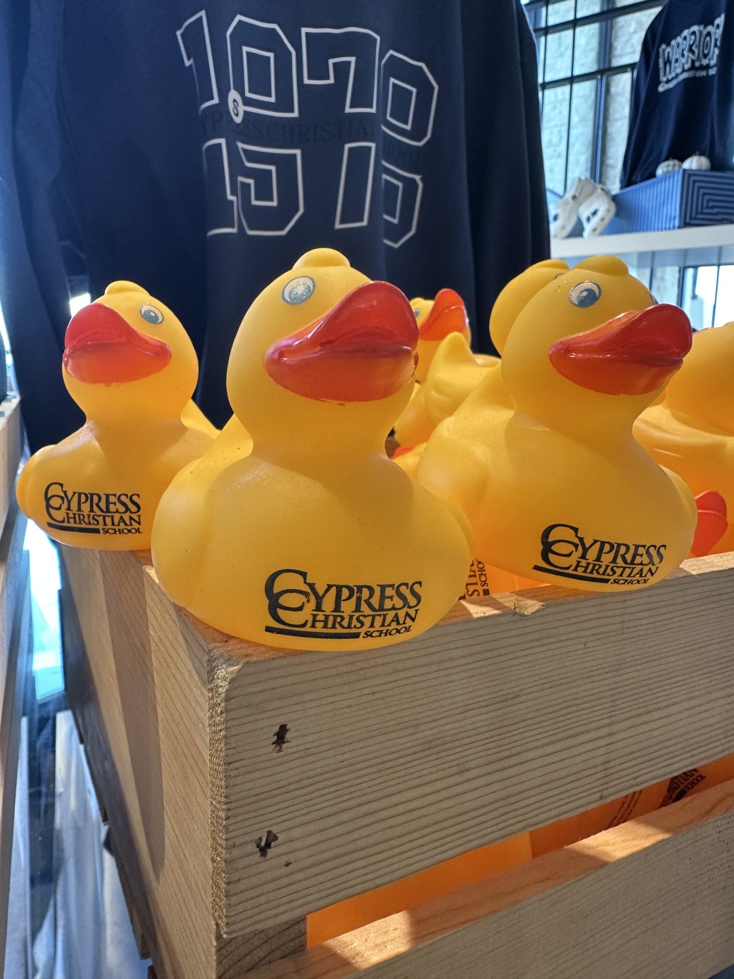 CCS Rubber Ducks
