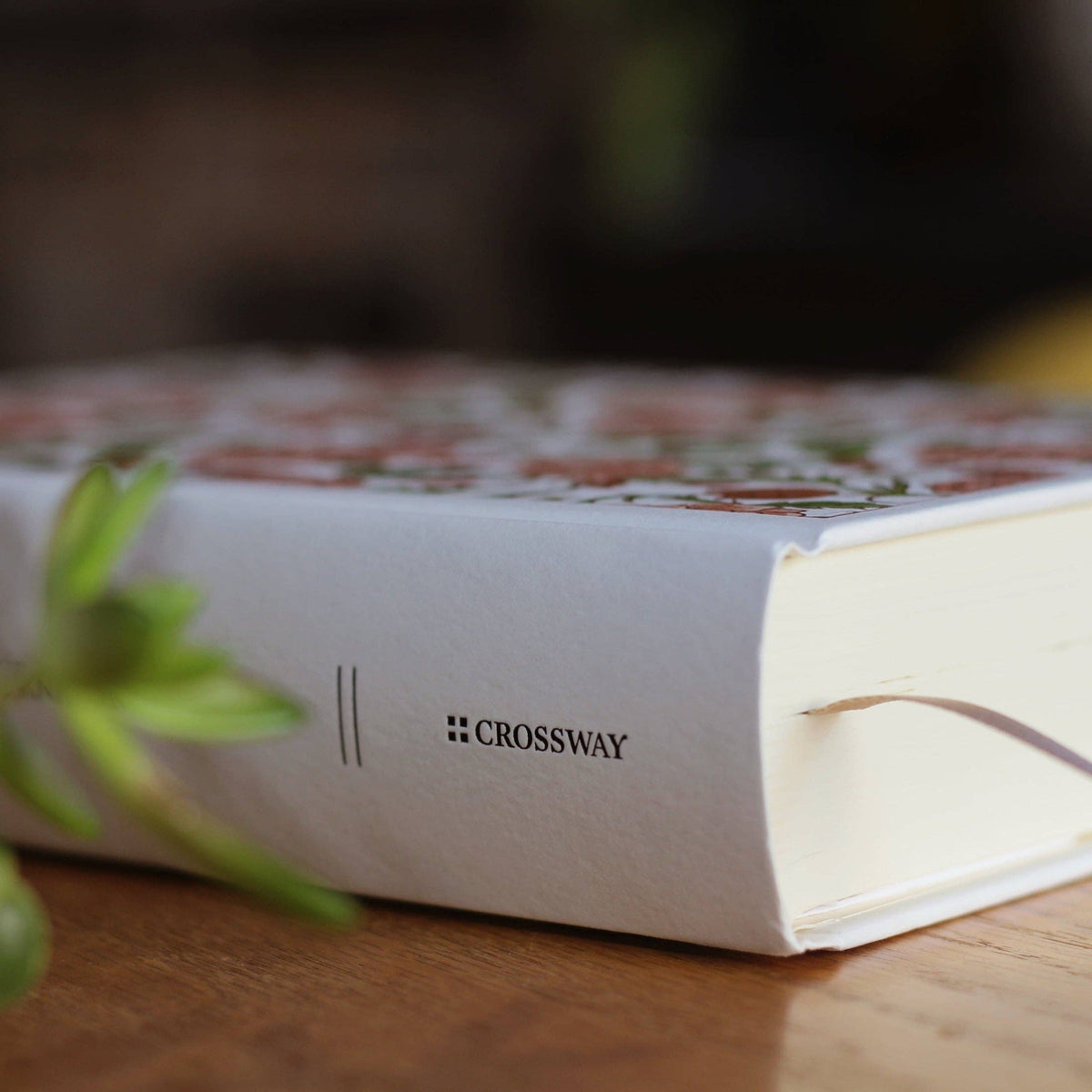 [NEW] Mr. Pen Custom Journaling Bible Bundle