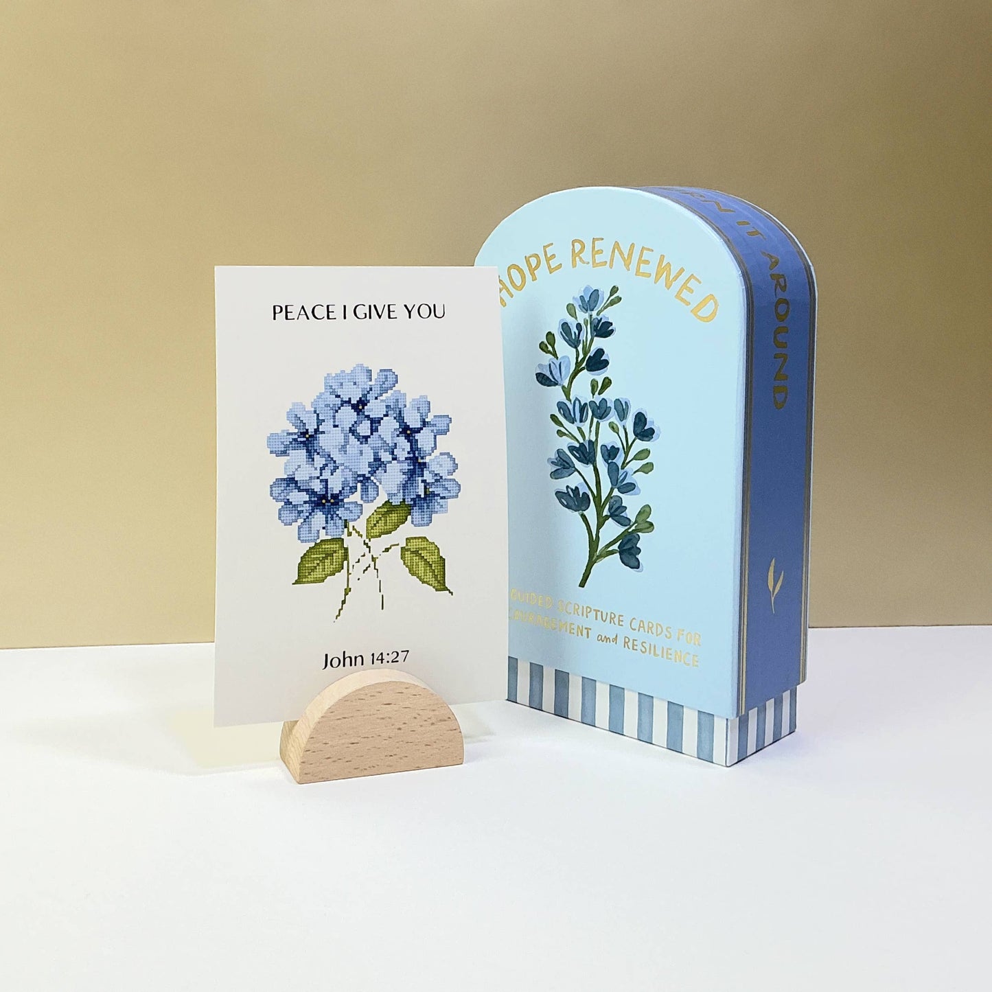 Faith Collection Guided Cards w/Stand Hope Renewed