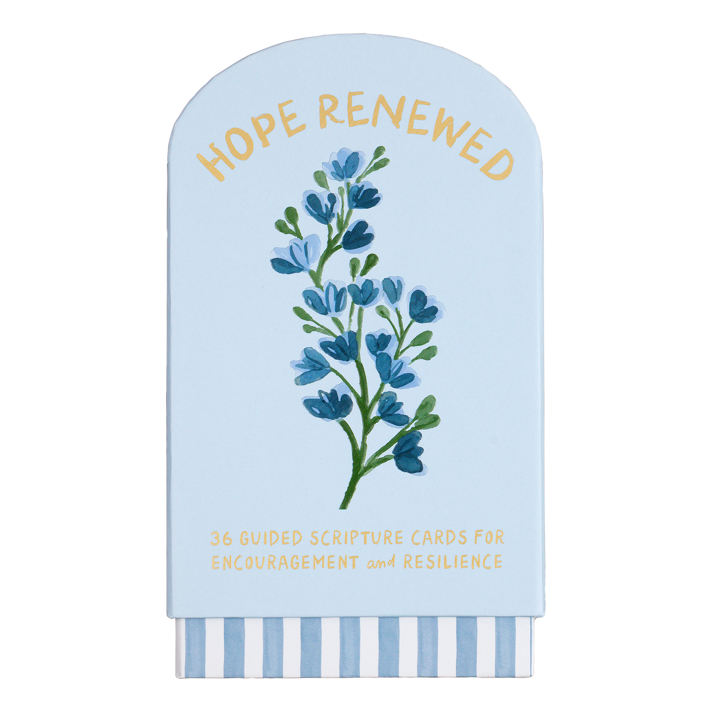 Faith Collection Guided Cards w/Stand Hope Renewed
